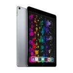 2017 iPad Pro (10,5 inch, Wi-Fi + Cellular, 256 GB) - Spacegrijs (gerenoveerd)